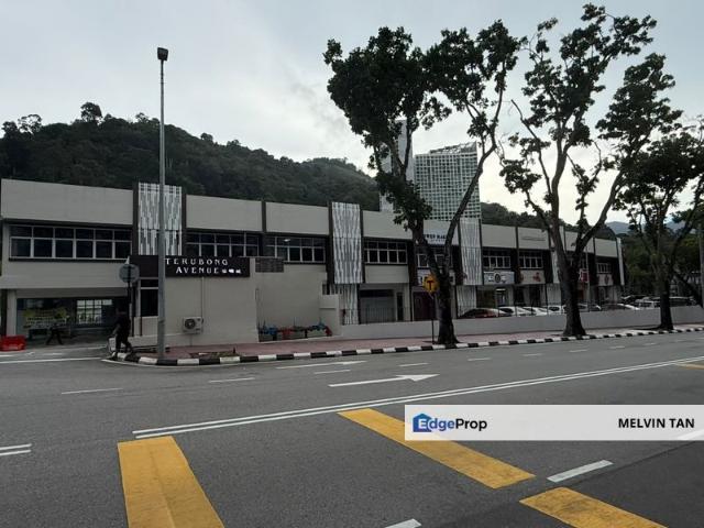 Terubong Avenue