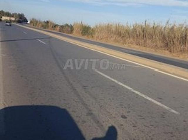 Ter 2ha titre industriel bouknadel salé