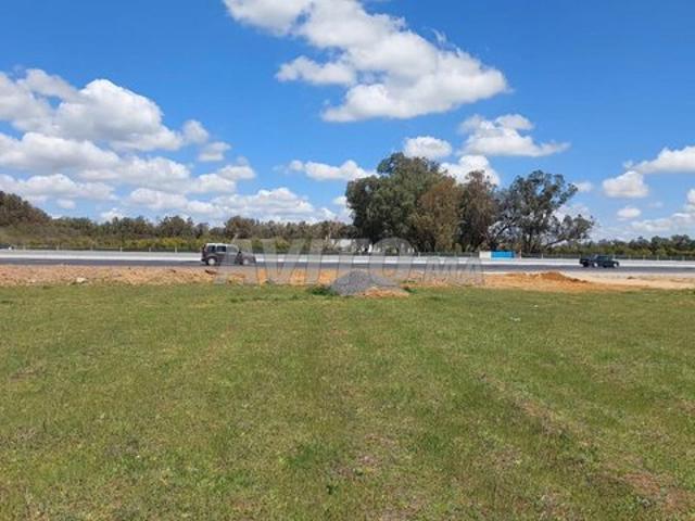 Ter Tf 6000m2 R.national Arjat salé