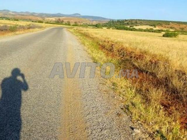 Ter titre 13700m2 Tiflet Lamaaziz