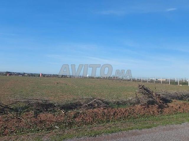 Ter titre 15000m2 kamouni