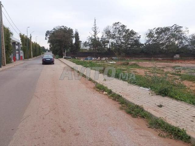 Ter titre 15000m2 R4R3 bouknadel salé