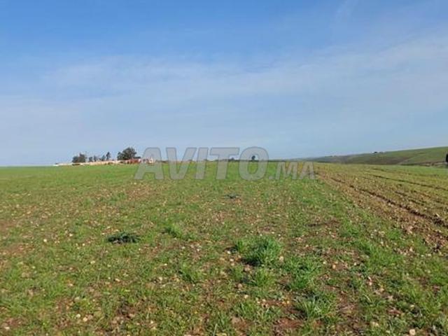 Ter titre mer 8800m2 sehoul salé