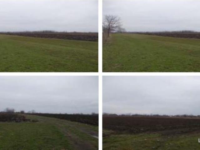 Teren 5. 000 mp, Tarla 97, Afumati, Ilfov