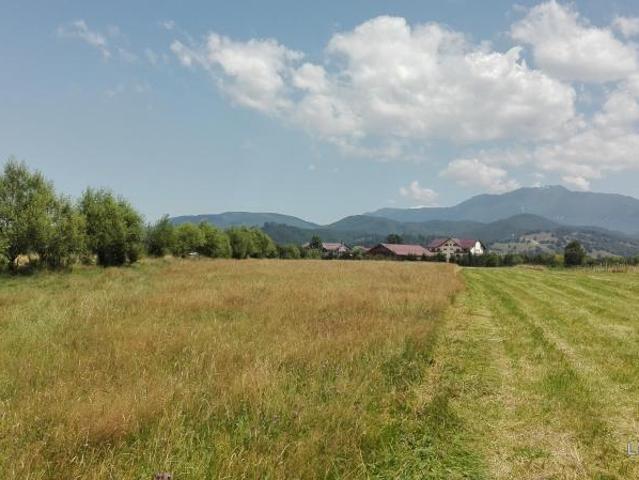 Teren 5. 000 mp, Rasnov, Brasov