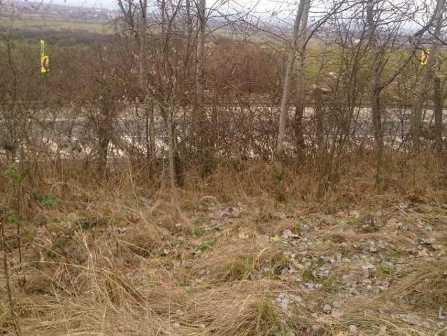 Teren 8. 933 mp, zona Dura Scipomar, Baia Mare
