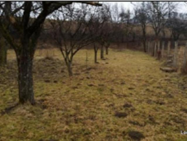 Teren 926 mp, Tarlungeni, Brasov