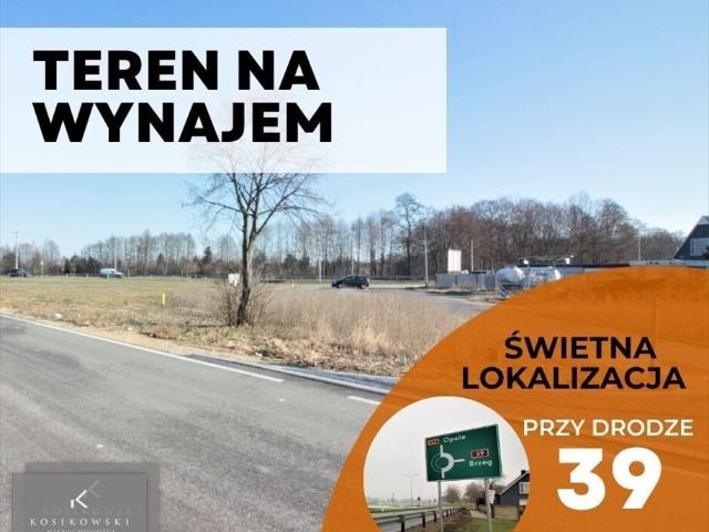 Polecam teren 2899 m² pod usługi przy DK 39 w Namysłowie!