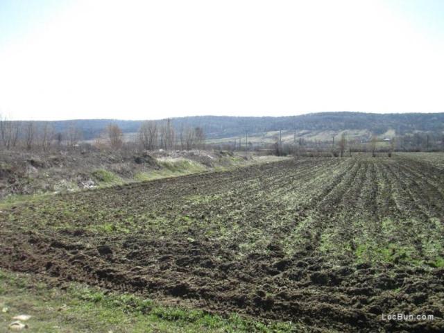 Teren agricol 2 loturi 4951 mp, Strehaia