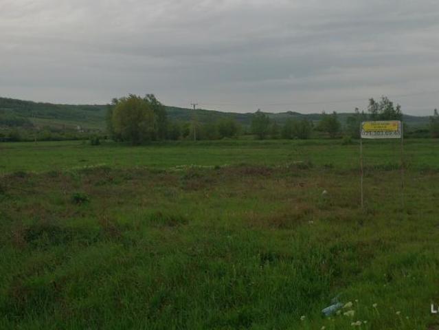 Teren agricol 3026 mp, Strehaia