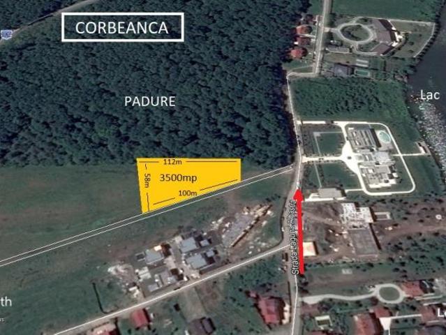 Teren Corbeanca str Laguna Albastra 3500 mp latura Padure