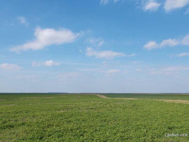 Teren extravilan 2000 mp la 25 km de Bucuresti