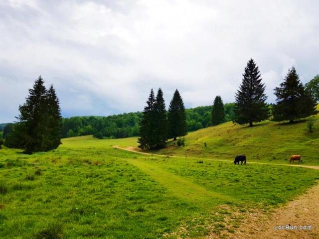 Teren intravilan construibil Poiana Mica Brasov