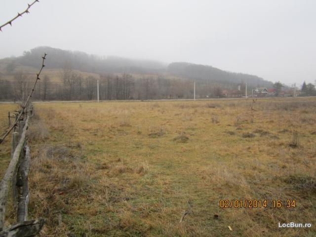 teren intravilan langa padure