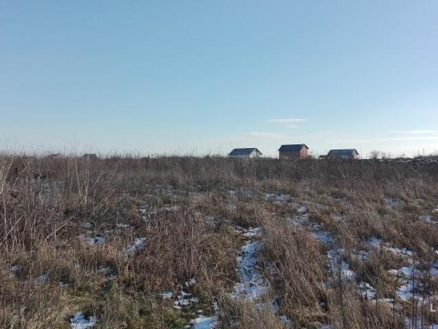 Teren intravilan 10333 mp, Sat Darza, Dambovita