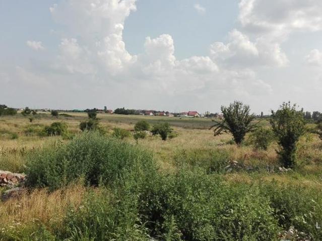 Teren intravilan 30900 mp, sat Livada, Arad