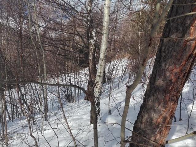 Teren intravilan 9400 mp, Moieciu de Jos, Brasov