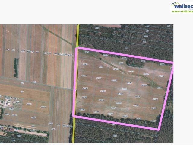 Teren inwestycyjny 11,56 ha w otulinie lasu, blisko S8