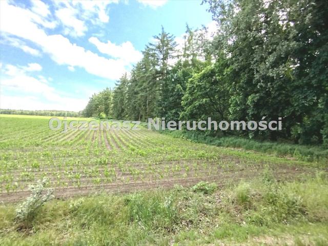 Teren inwestycyjny pod zabudowę 12 domów w Osówcu