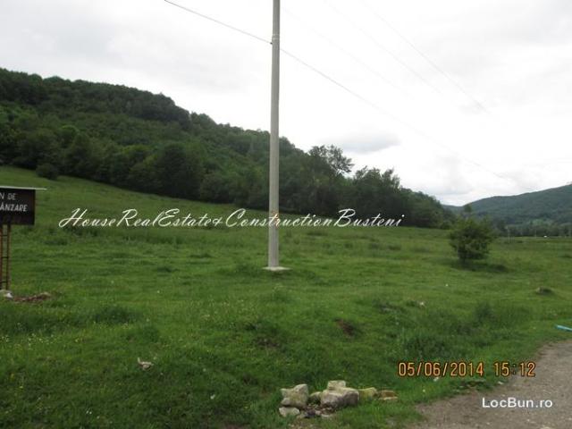 Teren la vanzare in Rasnov