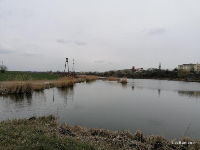 Teren Lac Balotesti 5000 mp intravilan str Lacului