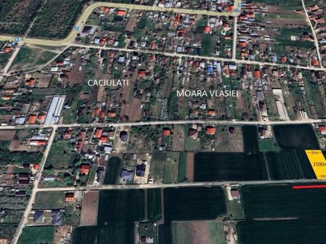 Teren Moara Vlasiei Caciulati 1500 mp str Garoafelor