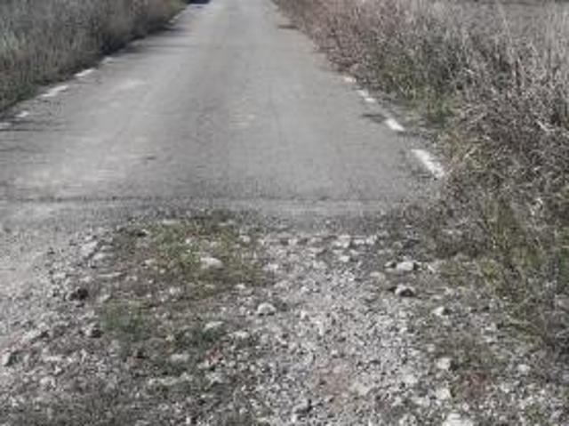 Teren Moara Vlasiei 1500 mp str Aleea Trandafirilor lot casa