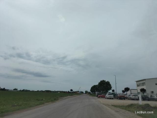 Teren Moara Vlasiei 65000 mp acces Nod A3 intravilan zona Mixta