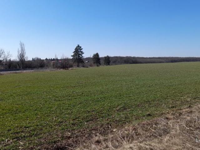 Teren Saftica la Padure si Lac 16800 mp apripiere DN1