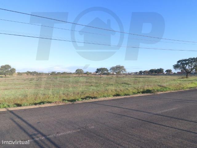 Tereno construo 10 Moradias Frente 170Mts 500.000