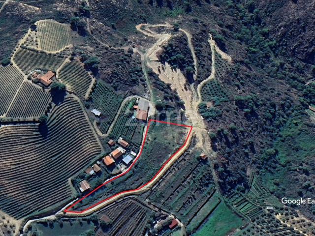 Terra de Plames, Murça