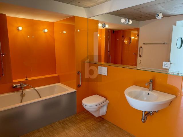 Terrace apartment with 3.5 rooms for rent in Tenniken 120 m² | dreamo. Ch