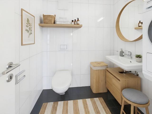 Terrace apartment with 3.5 rooms for rent in Rapperswil SG 120 m² | dreamo. Ch