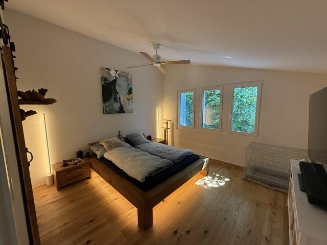 Terrace house with 5.5 rooms on sale in Dornach 300 m² | dreamo. Ch