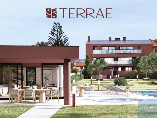 Terrae