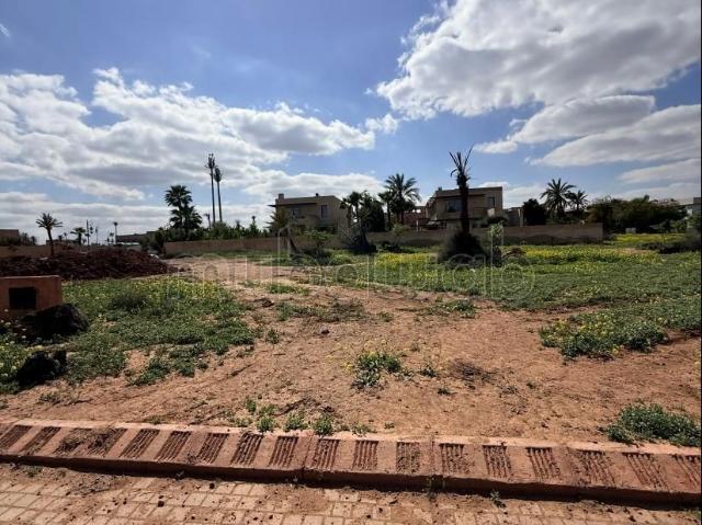 Terrain Magnifique à Vendre – Résidence Fermée Proche Golf Amelki