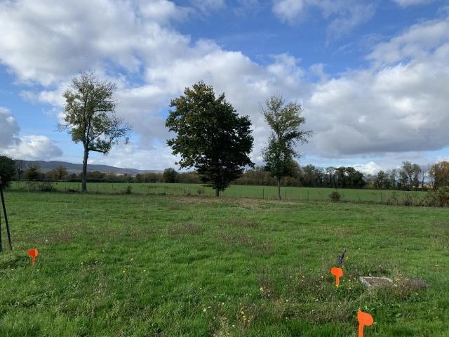 Terrain + maison plain pied 120 m² St Georges de Reneins