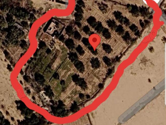 Terrain melkia à vendre 5 951 m²