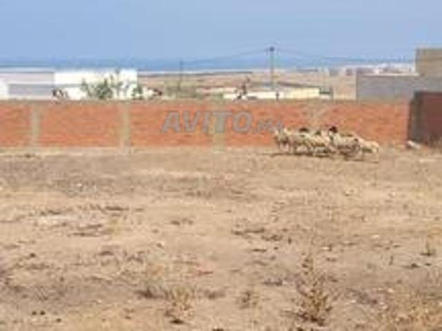 Terrain Milquia 837m2 Houarra Tanger