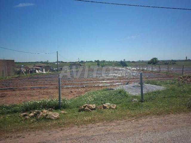 Terrain milkia 14000m2 Kamouni