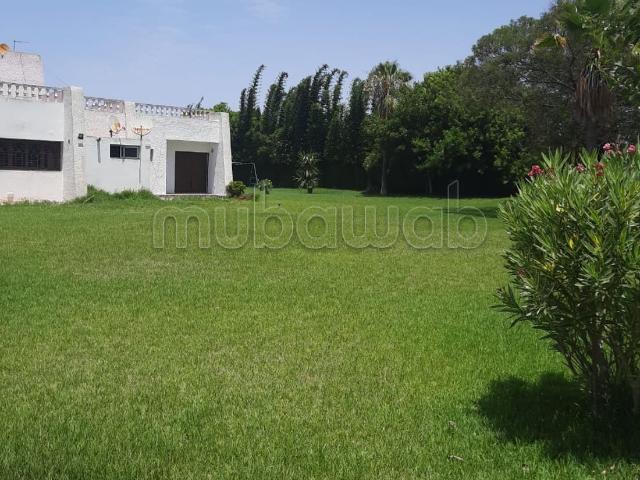 Terrain nue zone villa en vente à hay Ryad