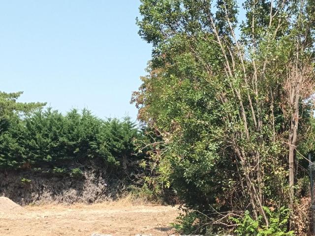 Terrain Nieul Sur Mer 1162 m2