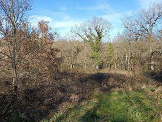 Terrain non viabilisé de 4 526 m²