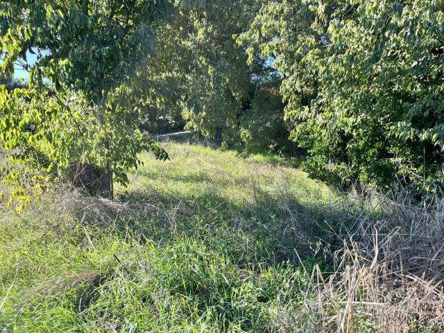 Terrain non viabilisé de 574m2 Pélissanne