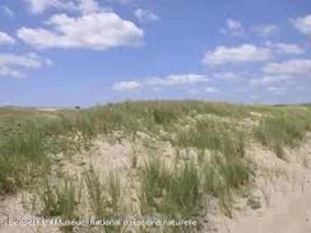 TERRAIN NON CONSTRUCTIBLE à 100 Mètres PLAGE