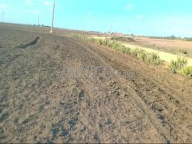 Terrain non cultivé à vendre, superficie de 15 hectares, titré