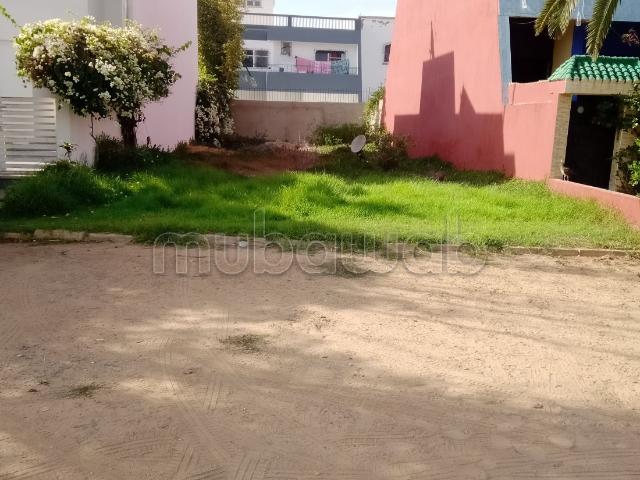 Terrain Oued merzeg lotissement Moutawakel