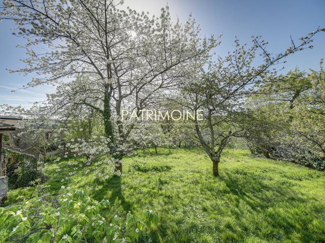 Terrain Orgeval 3215 m2