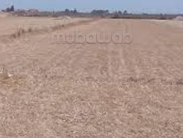 Terrain avec autorisation de construction