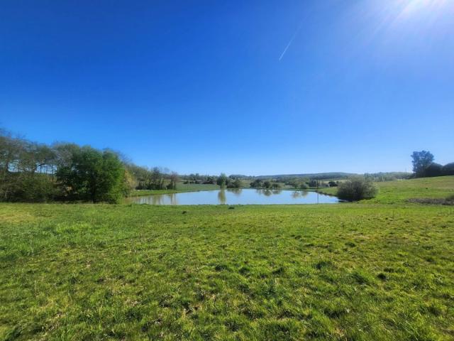 Terrain avec étang de pêche en campagne 3.54 ha à vendre VILLENEUVE SUR LOT 47